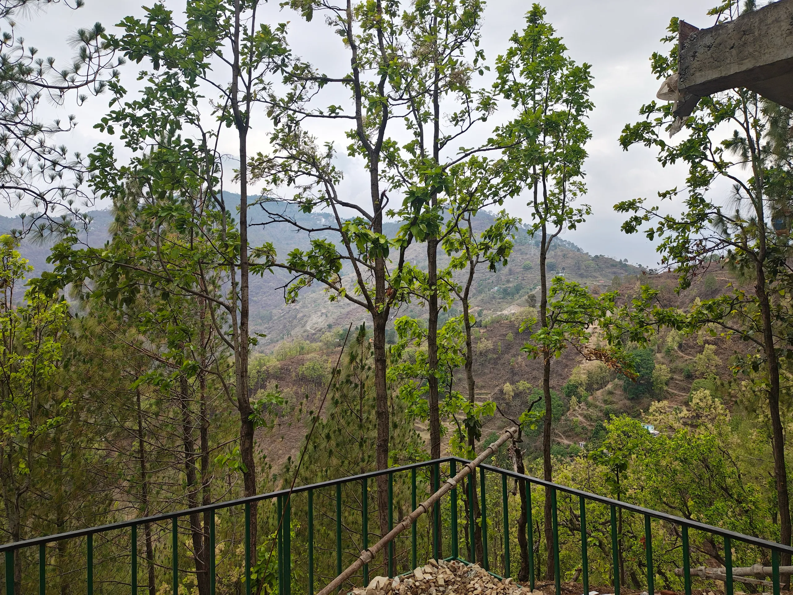 View of pine forest and far mountains from the villa balcony