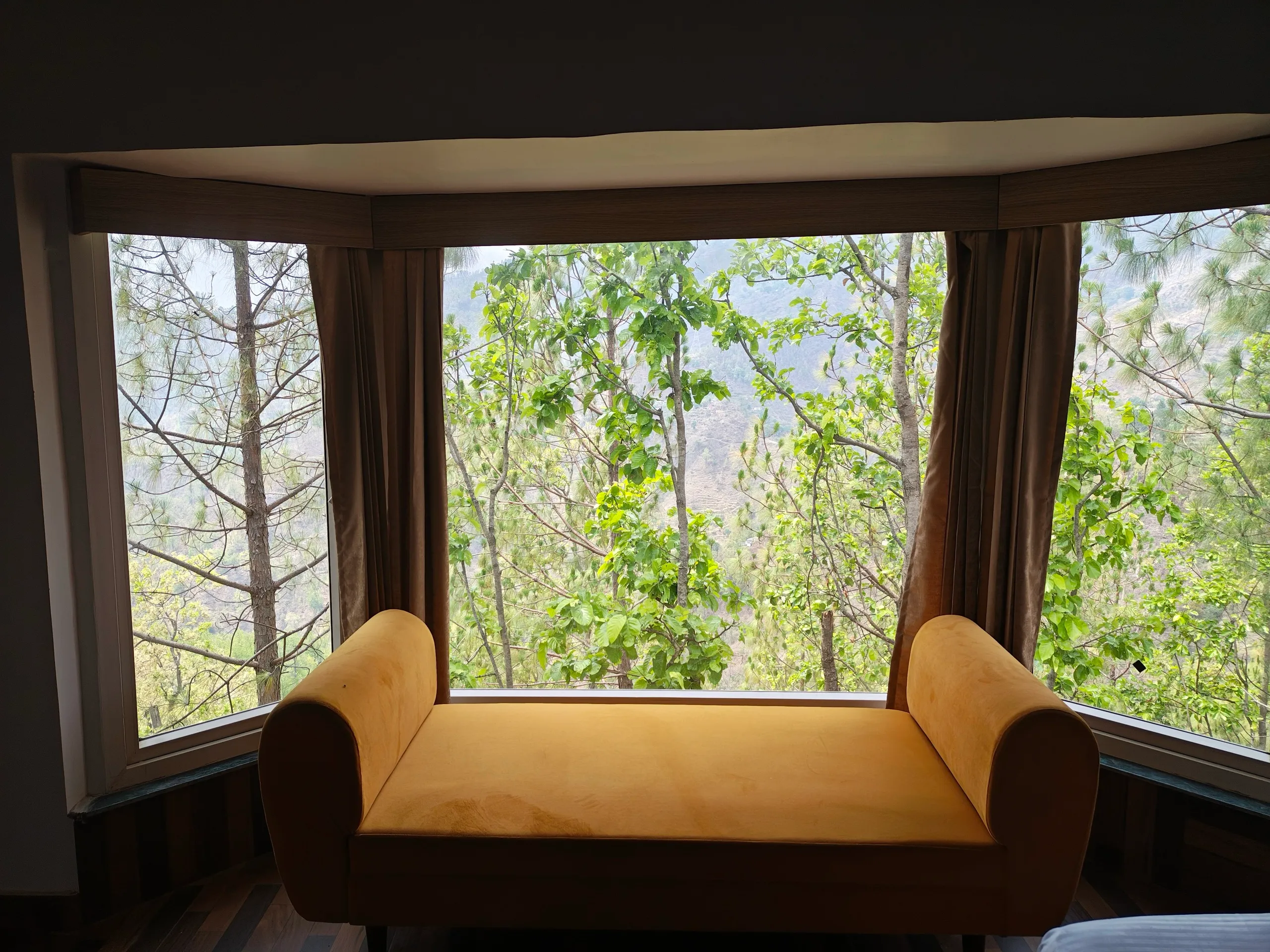 Yellow bench in a bay window looking onto the pine forest